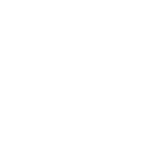 Record RJ